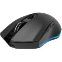 Gembird Datora pele Gembird  MOUSE USB OPTICAL WRL GAMING/FIREBOLT MUSGW-6BL-02
