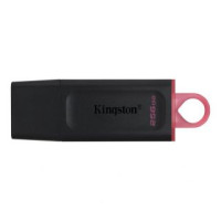 Kingston Zibatmiņa Kingston  MEMORY DRIVE FLASH USB3.2/256GB DTX/256GB