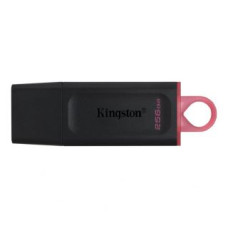Kingston Zibatmiņa Kingston  MEMORY DRIVE FLASH USB3.2/256GB DTX/256GB