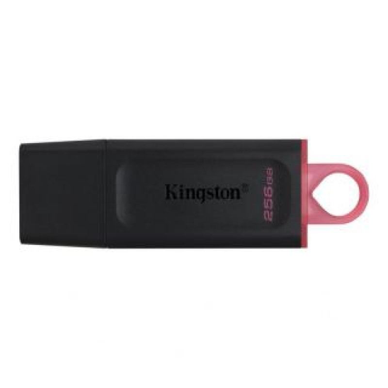 Kingston Zibatmiņa Kingston  MEMORY DRIVE FLASH USB3.2/256GB DTX/256GB
