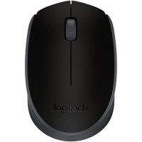 Logitech Datora pele Logitech  MOUSE USB OPTICAL WRL B170/BLACK 910-004798