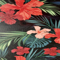 Evelatus Aizsargplēve Evelatus Universal Red Flowers Along With Ferns Colorful Film for Cutter