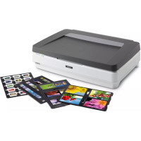 Epson Printers EPSON  Expression 13000XL Pro A3 Film and Graphics Scanner | B11B257401BT | Flatbed scanner