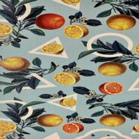Evelatus Aizsargplēve Evelatus Universal Lemon Colorful Film for Screen Cutter