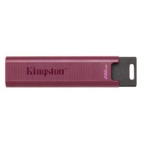 Kingston Zibatmiņa Kingston  MEMORY DRIVE FLASH USB3.2/256GB DTMAXA/256GB
