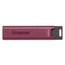 Kingston Zibatmiņa Kingston  MEMORY DRIVE FLASH USB3.2/256GB DTMAXA/256GB