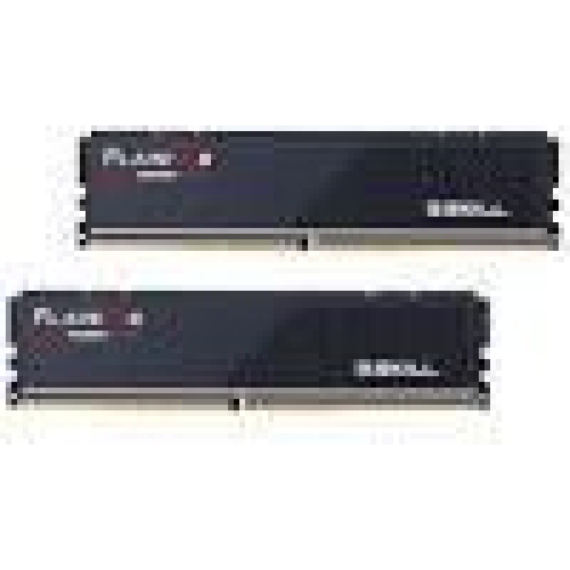 G.skill Operatīv atmiņa DDR4 G.Skill  Flare 48GB (24GBx2) GB,  DDR5, 6000 MHz, PC/server, Registered No, ECC No, 2x24 GB