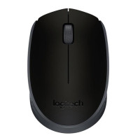 Logitech Datora pele Logitech  MOUSE USB OPTICAL WRL M171/BLACK 910-004424