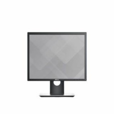 Dell Monitors Dell  Professional P1917S 19 