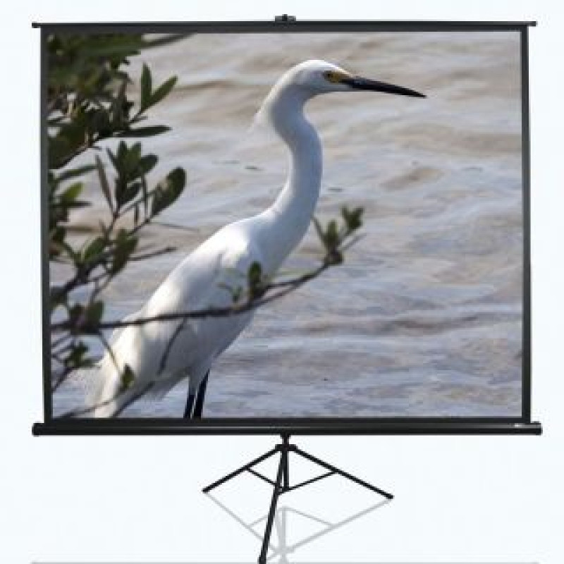 Elite Screens Ekrāns projektoriem Elite Screens  Tripod Series T120NWV1 Diagonal 120