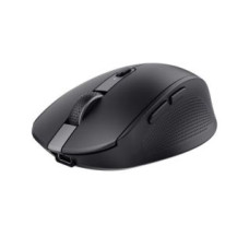 Trust Datora pele Trust  MOUSE USB OPTICAL WRL OZAA/24819