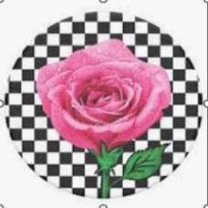 Popsockets Universāls turētājs (Popsocket) Popsockets  PT-SK8R GRL-BK