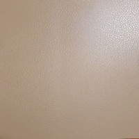 Evelatus Aizsargplēve Evelatus Universal Leather Film for Screen Cutter Beige