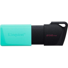 Kingston Zibatmiņa Kingston  MEMORY DRIVE FLASH USB3.2/64GB DTXM/64GB