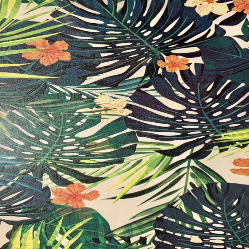Evelatus Aizsargplēve Evelatus Universal Ferns Colorful Film for Screen Cutter