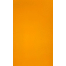 Evelatus Aizsargplēve Evelatus Universal Universal 3M Matte Color A3 Film for Screen Cutter Yellow