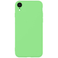 Evelatus Aizmugurējais vāciņš Evelatus Apple iPhone XR Nano Silicone Case Soft Touch TPU Mint