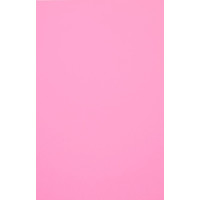 Evelatus Aizsargplēve Evelatus Universal Universal Color Shinning Film for Screen Cutter Light Pink