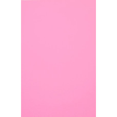 Evelatus Aizsargplēve Evelatus Universal Universal Color Shinning Film for Screen Cutter Light Pink