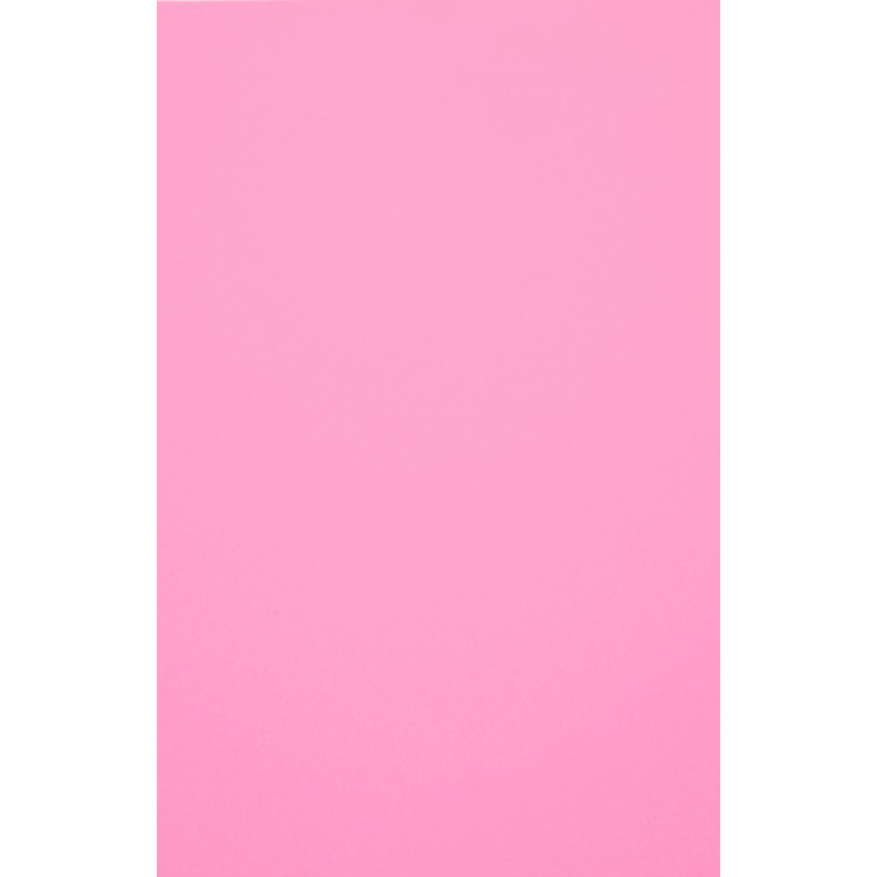 Evelatus Aizsargplēve Evelatus Universal Universal Color Shinning Film for Screen Cutter Light Pink