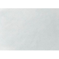 Evelatus Aizsargplēve Evelatus Universal Tablet Universal High Quality Leather Skin Film for Cutter White