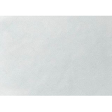 Evelatus Aizsargplēve Evelatus Universal Tablet Universal High Quality Leather Skin Film for Cutter White
