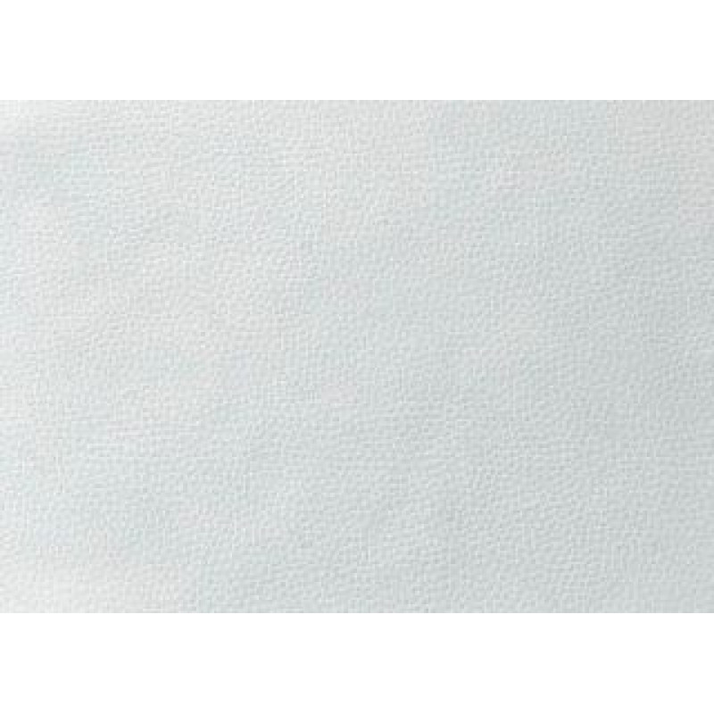 Evelatus Aizsargplēve Evelatus Universal Tablet Universal High Quality Leather Skin Film for Cutter White