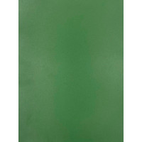 Evelatus Aizsargplēve Evelatus Universal Universal Color Shinning A3 Film for Screen Cutter Army Green